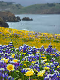 Cory Poole Photography