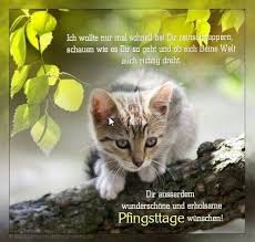 Pin Von Karin Kramer Auf Pfingsten Pfingsten Frohe Pfingsten Pfingstgrusse