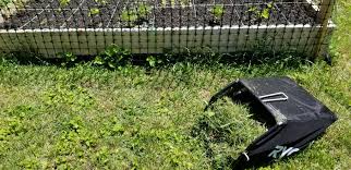 But…they may also be loaded with herbicides or fertilizers and thus become a bad addition to the garden. 3 Ways To Utilize Grass Clippings In Your Garden Thistle Downs Farm