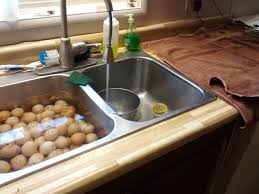 the little egg scrubber egg washer