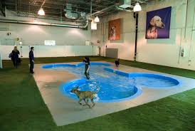 We carry toy breeds to giant breeds and both purebred and mixed puppies. Pets Denver International Airport