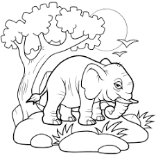 Safari animals coloring pages, baby elephant, baby giraffe, baby lion, coloring page for kids, printable coloring book, pdf digital print. Elephant Coloring Pages 54 Online Coloring Pages