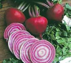 Beetroot Tondo Di Chioggia Beet Seeds Chioggia Beetroot