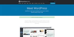Wordpress has been around since 2003. What Is Wordpress Pressidium Managed Wordpress Hosting