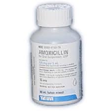 I looked amoxicillin powder on the internet and it says: Amoxicillin Oral Suspension Drops For Dogs Cats Petcarerx