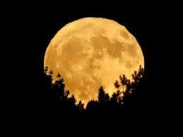 By blueeyedwolf, posted an hour ago anthro artist. Full Moon 2020 How To See Beaver Moon In The Uk Tonight The Independent