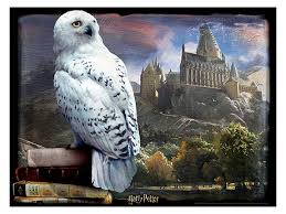 Harry Potter Hedwig Lenticular 300 Piece 3d Puzzle