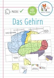 Das Gehirn Puzzle Unterrichtsmaterial Im Fach Biologie In 2020 Gehirn Aufbau Gehirn Unterrichtsmaterial
