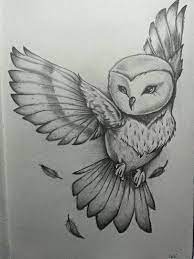 42 Simple And Easy Pencil Drawings Of Animals Buzz Hippy Owls Drawing Drawing Sketches Animal Drawings