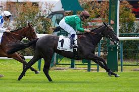 Chantilly : Drazinda, intouchables Aga Khan - France sire