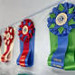 AKC Rally & OB Trials event image