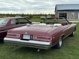 Image result for Indigo 1975 Buick