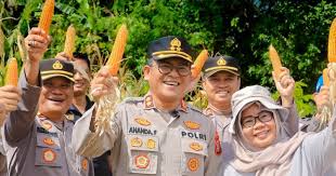 Polres Barru Dukung Swasembada Pangan: Kapolres Pimpin Panen Raya Jagung Serentak - INDONESIASATU.CO.ID