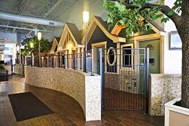 Reception Area And Exam Hallway Hospital Design Dog Boarding Kennels Dog Rooms Dog Kennel Designs