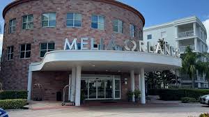 Image result for Melia