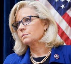 Regarding Liz Chaney's recent commentary about the Democratic Party and a  cohesive plan of action… Amen. With a coordinated, well lead effort by the  Democratic Party, the average person who wants to