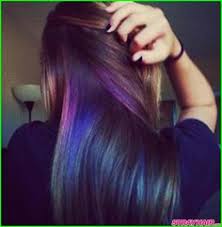 Elegant Black Hair With Blue Underneath Photograph Of Hairstyle Ideas 12128 Oil Slick Hair Color Hidden Hair Color Oil Slick Hair