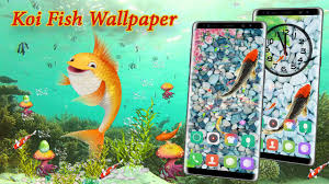 2560x1440 hearts live wallpaper free android apps on google. Koi Free Live Wallpaper Fish Aquarium Wallpaper For Android Apk Download