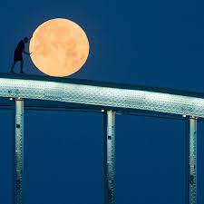 Древо познания добра и зла. Lunnyj Kalendar Na Iyul 2021 Fazy Luny Blagopriyatnye Dni