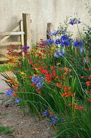 35574 Garden Inspiration Plants Beautiful Gardens