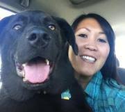 Every Shot Counts: Using the Revolutionary Strokes Gained Approach to  Improve Your Golf Performance and Strategy by Mark Broadie