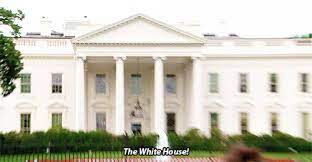 Nothing Is Accidental Best Of Tumblr Fun World Parks And Recreation