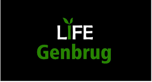 LIFE Genbrug