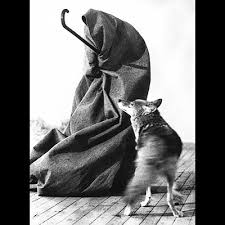 Wrapped in a felt blanket, the symbol of the ailing western man, the artist is picked up on his arrival at the new york airport by an ambulance. The Legacy Of Joseph Beuys Escape Into Life