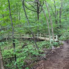 🌄 Looking for a mud-season-friendly adventure? The Jordan Mountain Hiking Trails behind the Jordan Hotel at Sunday River are open and ready for exploring! With two loops — Beechnut (1.35 mi, easy)