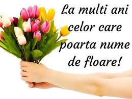 Teo Trandafir La Multi Ani Celor Care Sarbatoriti Ziua Happy Birthday Birthday Flowers