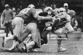 219 Orvis Stock Photos, High-Res Pictures, and Images