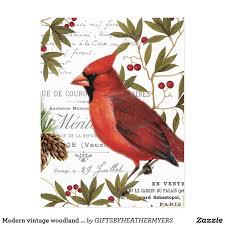 Modern Vintage Woodland Cardinal Postcard Zazzle Com Winter Woodland Vintage Winter Modern Vintage