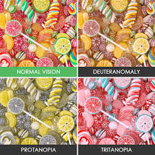 Are you a science expert? You Ll Be Amazed How People With Color Blindness See The World 57 Pics Bored Panda