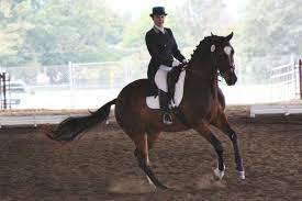 Jenny with irado and joia(lusitanos) in the french countryside(south) doing piaffer, passage, pas espagnol. Dressage Training And Sales J Rollins Gallery