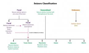 seizure types emergency care institute