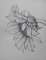 If you take a pencil and a blank sheet of paper and spend a little time, you will get a wonderful sketch. Pencil Sketch Easy Sunflower Drawing Bmp Mathematical