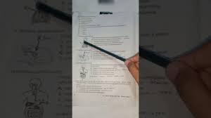 Soal gerak dan gaya ini ada di kelas 6, bisa untuk menambah latihan dalam menghadapi ulangan harian. Pembahasan Soal Try Out Ipa Kelas Vi Tahun 2021 Videopembelajaran Pembahasanto Tokelas6 Tryout Youtube