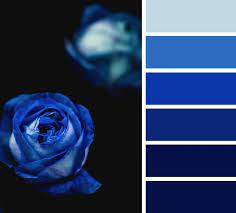 Midnight Blue And Royal Blue Color Scheme Color Palette Blue Color Schemes Royal Blue Color Scheme Blue Colour Palette