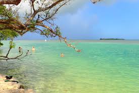 Book the best key largo hotels on tripadvisor: Free Beaches Of The Florida Keys Guide Deviating The Norm
