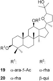 Molekule Und Biologische Mechanismen Des Suss Und Umamigeschmacks Behrens 2011 Angewandte Chemie Wiley Online Library