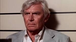 After the case was over, michelle followed matlock back to the united states and took over charlene's role as partner. Matlock Quiz Zoo