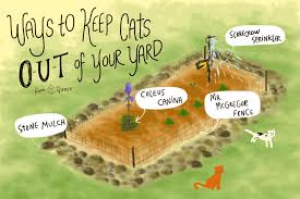 Illustration Depicting Ways To Keep Cats Out Of A Garden Cat Repellant Outdoor Cat Repellant Keep Cats Away