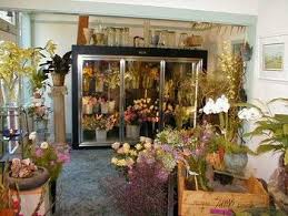 We did not find results for: 10 Flower Fridge Chiller Ideas Flower Shop Decor Flower Shop Interiors Floral Shop