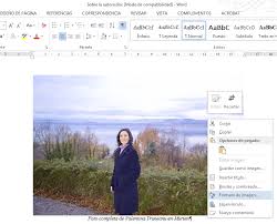 Como Insertar Imagenes En Word Para Ebooks Insertar Imagen Imagenes Guardadas Diseno De Pagina