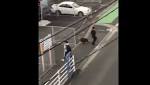 WATCH: attacked wild boar work