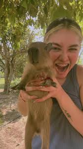 Divertidas aventuras del capibara y esponjita