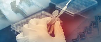 We did not find results for: Genetik Testleri Nelerdir Genetik Danismanlik Kimlere Gereklidir