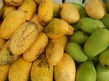 We did not find results for: Mango Wikipedia