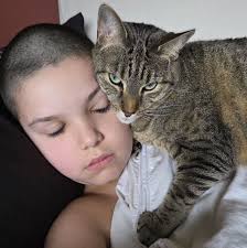 Asparagus with Tomato and Feta:  http://www.myrecipes.com/recipe/asparagus-tomato-feta-50400000133668/ Find  more asparagus recipes:  http://www.cookinglight.com/food/in-season/cooking-with-asparagus-00412000074651/