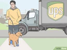 Gillian birch·august 29th, 2019·7 min read. How To Keep A Dog In An Apartment That Does Not Allow Dogs